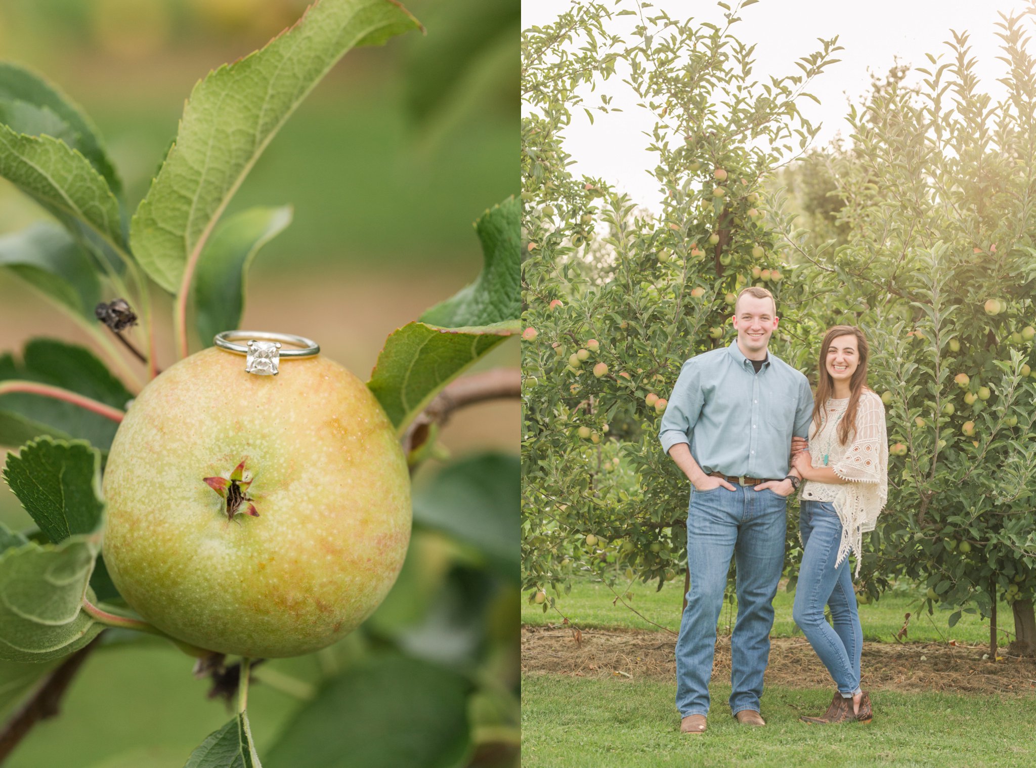 quarry hill orchard engagement photos 